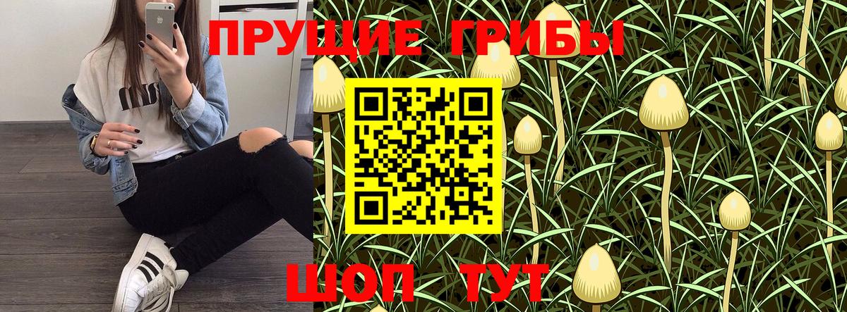 Дербент  Псилоцибиновые грибы Psilocybe  Вход с VPN 